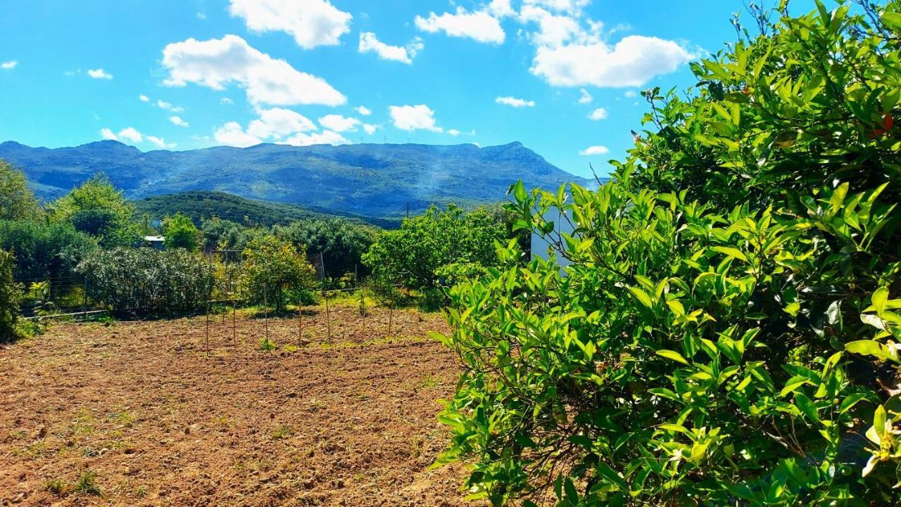 Agritourism Cottage Near Sitia ภายนอก รูปภาพ