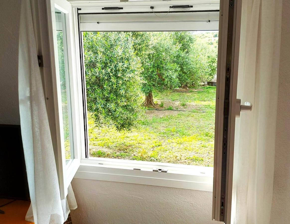 Agritourism Cottage Near Sitia ภายนอก รูปภาพ