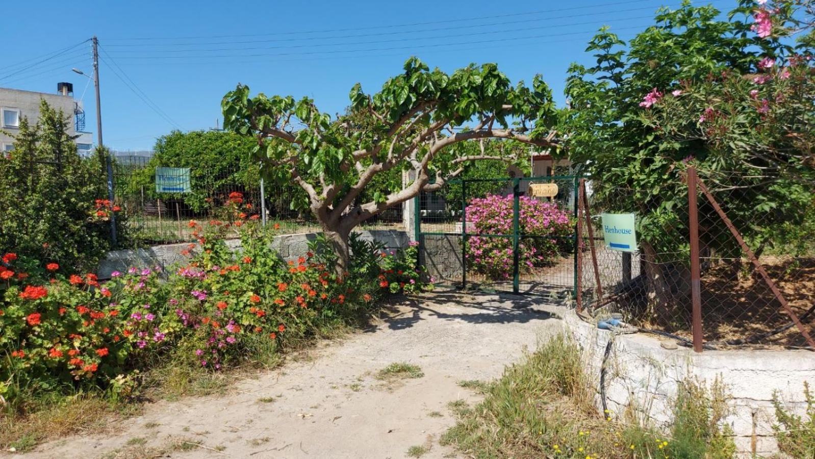 Agritourism Cottage Near Sitia ภายนอก รูปภาพ