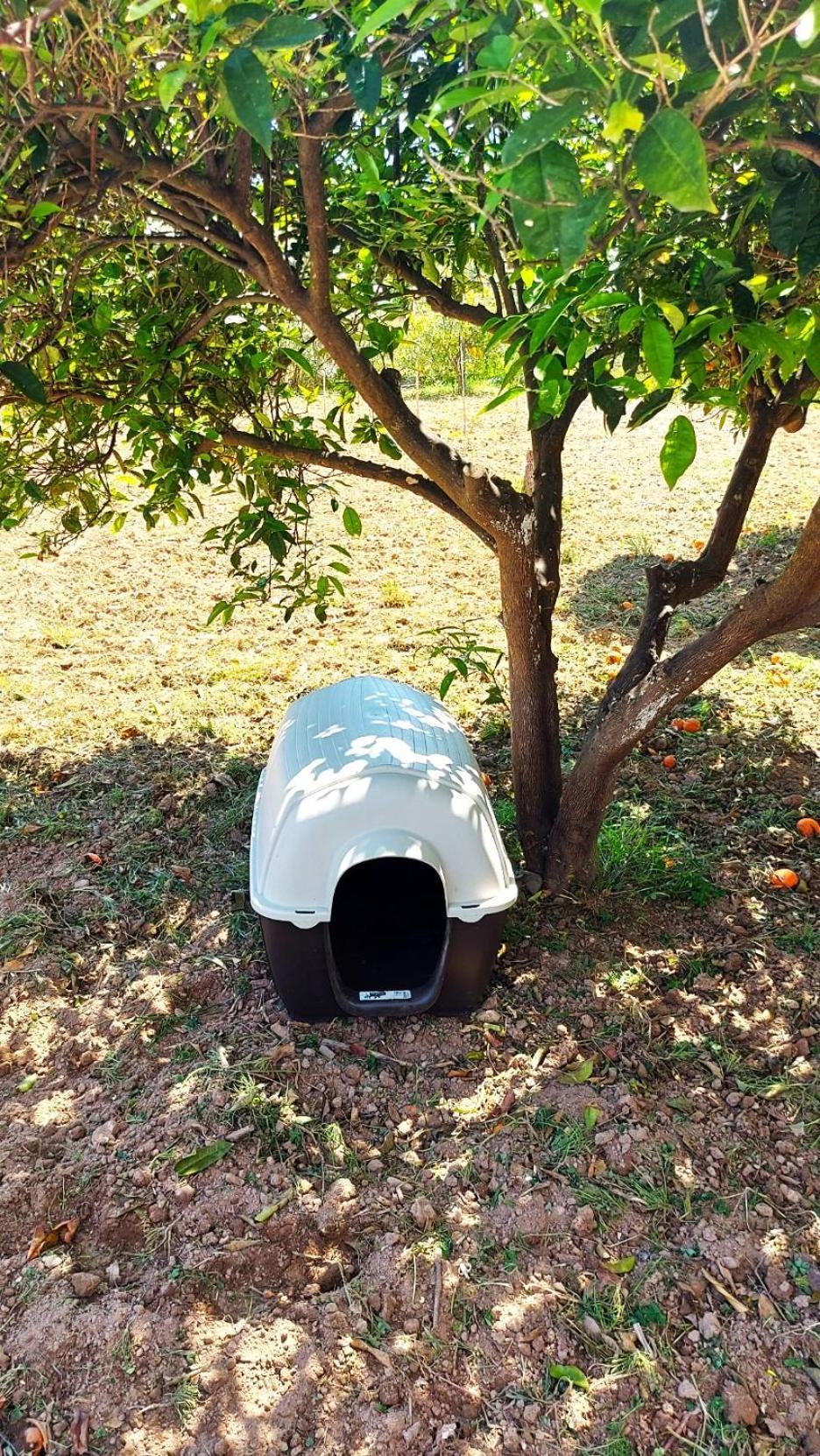 Agritourism Cottage Near Sitia ภายนอก รูปภาพ